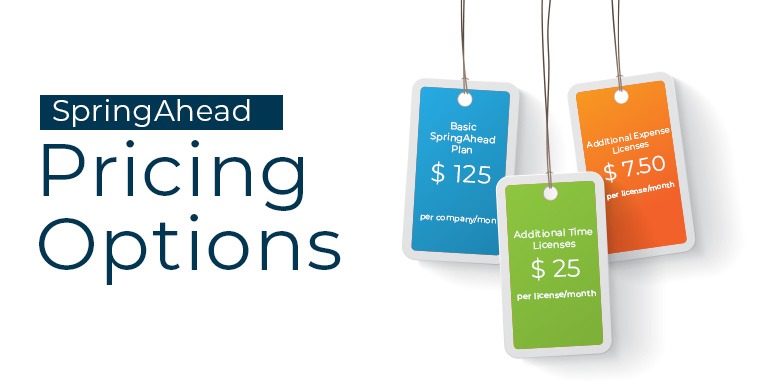 SpringAhead Pricing Options