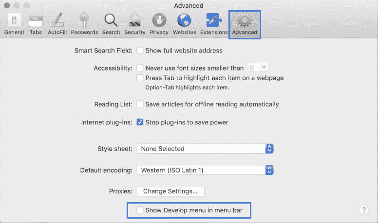 Advanced Setting in Safari