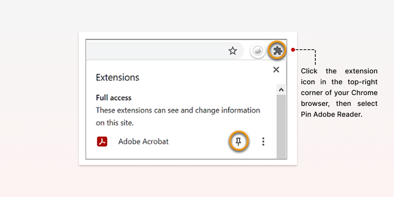 Adobe Reader extension