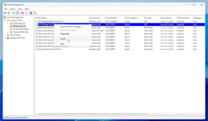 Reinstalling Printer Drivers 1